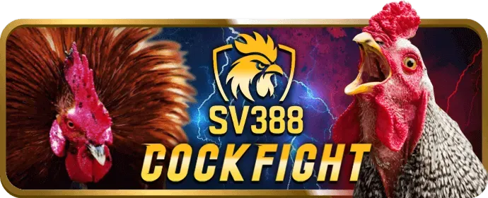 Hướng dẫn đăng nhập 99bet cho người mới